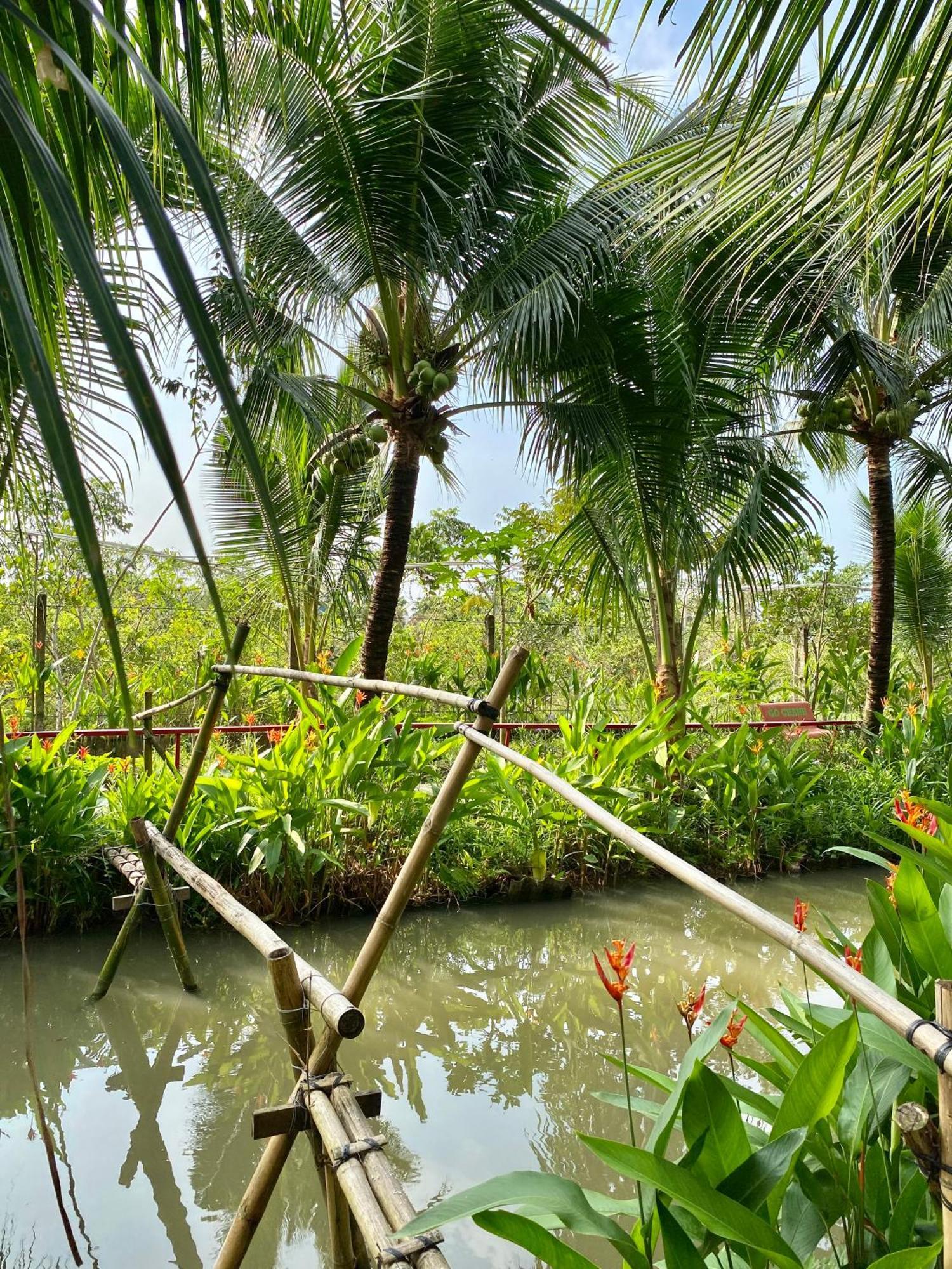 Go Chanh Homestay Cai Rang Exterior photo